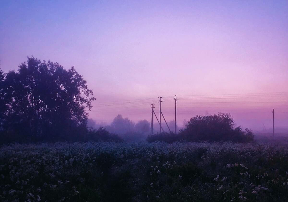 足球直播-网上一票难求、现场人山人海，上海正式进入F1时间！预计三天吸引23万观众，车迷澳洲看完又赶来：很有参与感